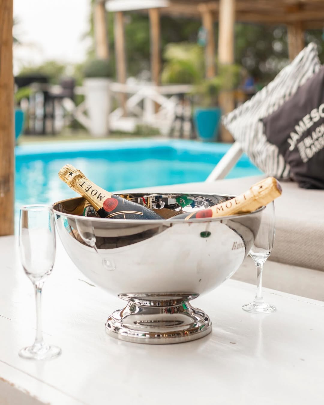 Pili Pili gallery image 11